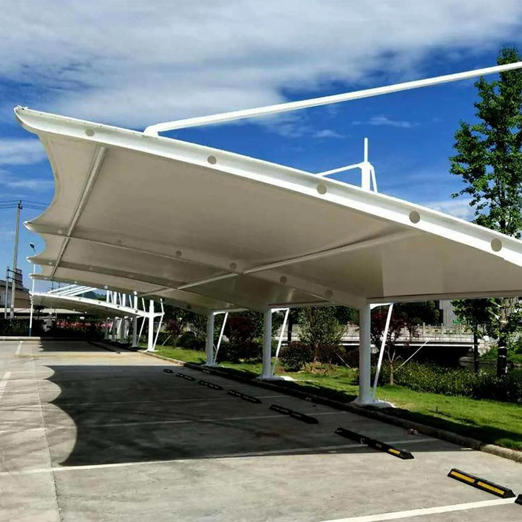 忻城县膜结构汽车棚